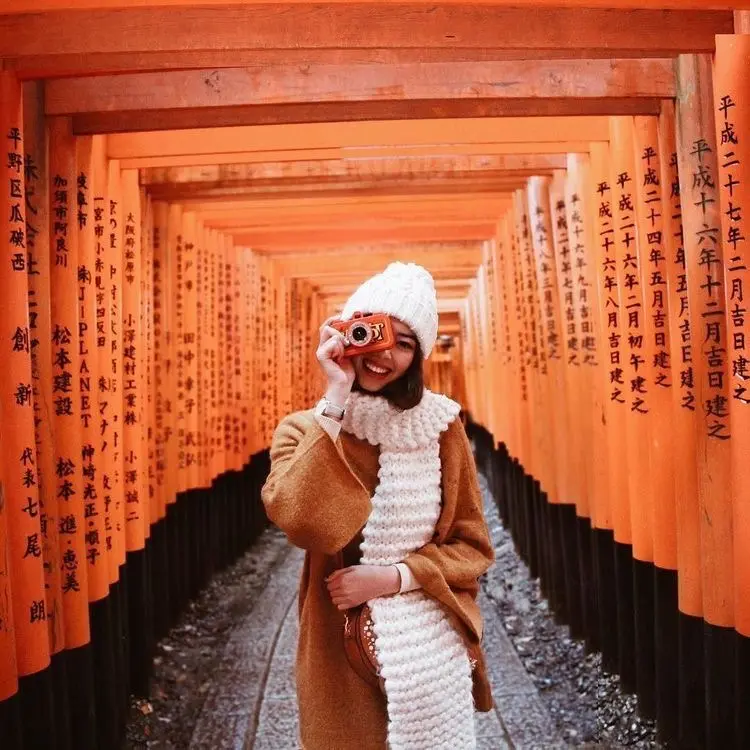 Japan Autumn Edition
